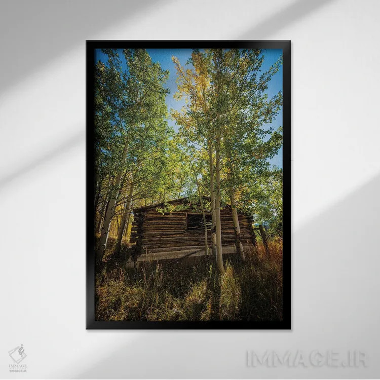 تابلو دکوراتیو کلبه پارک شمالی اثر کریستوفر توماس - نمای قابدار مشکی