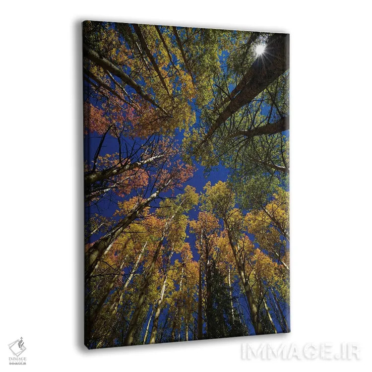 تابلو دکوراتیو کالیودوسکوپ درختان تبریزی اثر کریستوفر توماس - نمای پرسپکتیو محصول