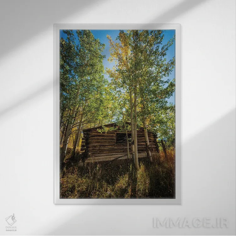 تابلو دکوراتیو کلبه پارک شمالی اثر کریستوفر توماس - نمای قابدار سفید