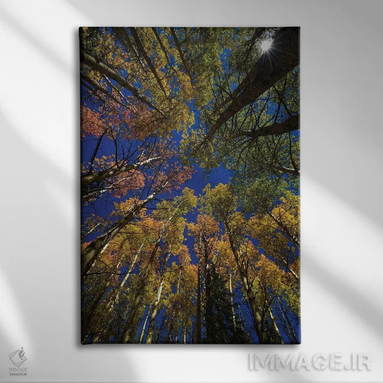 تابلو دکوراتیو کالیودوسکوپ درختان تبریزی اثر کریستوفر توماس - نمای روبهرو روی دیوار