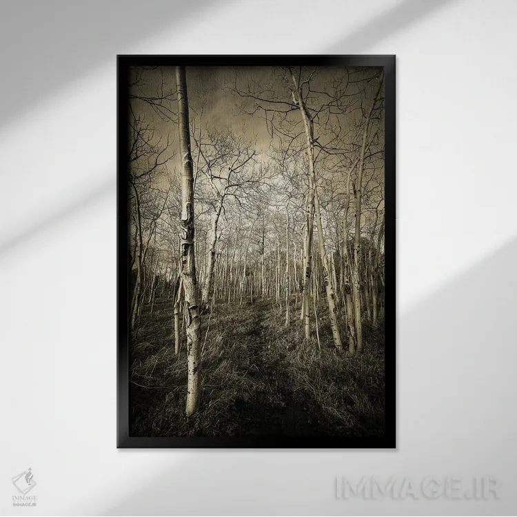 تابلو دکوراتیو تالارهای درخت تبریزی اثر کریستوفر توماس - نمای قابدار مشکی