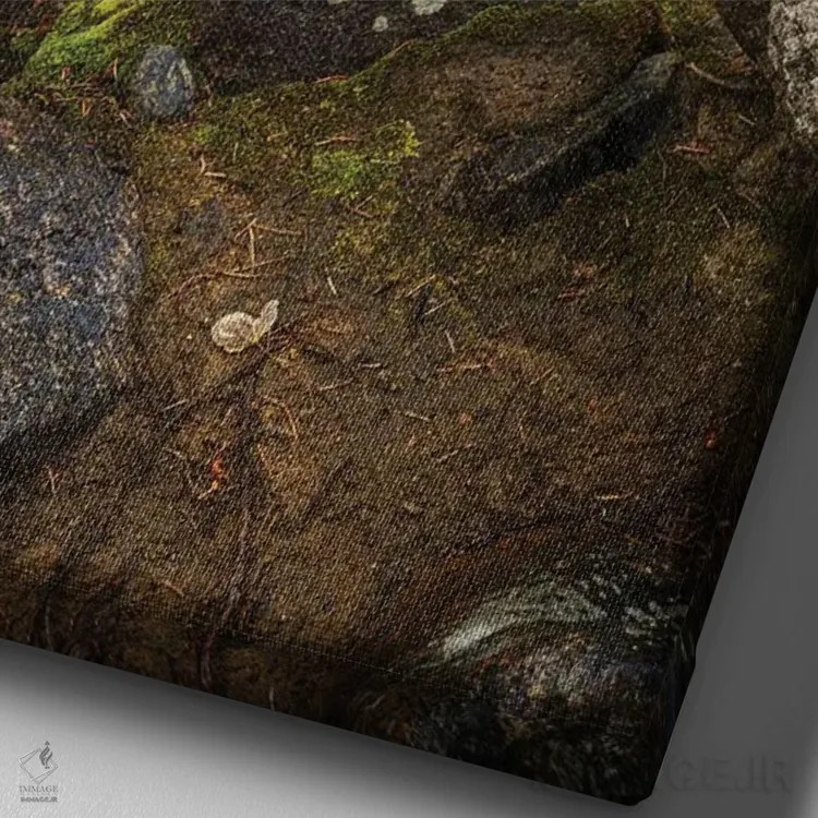 تابلو دکوراتیو جریان کوهستانی خزه ای اثر کریستوفر توماس - نمای نزدیک بافت بوم