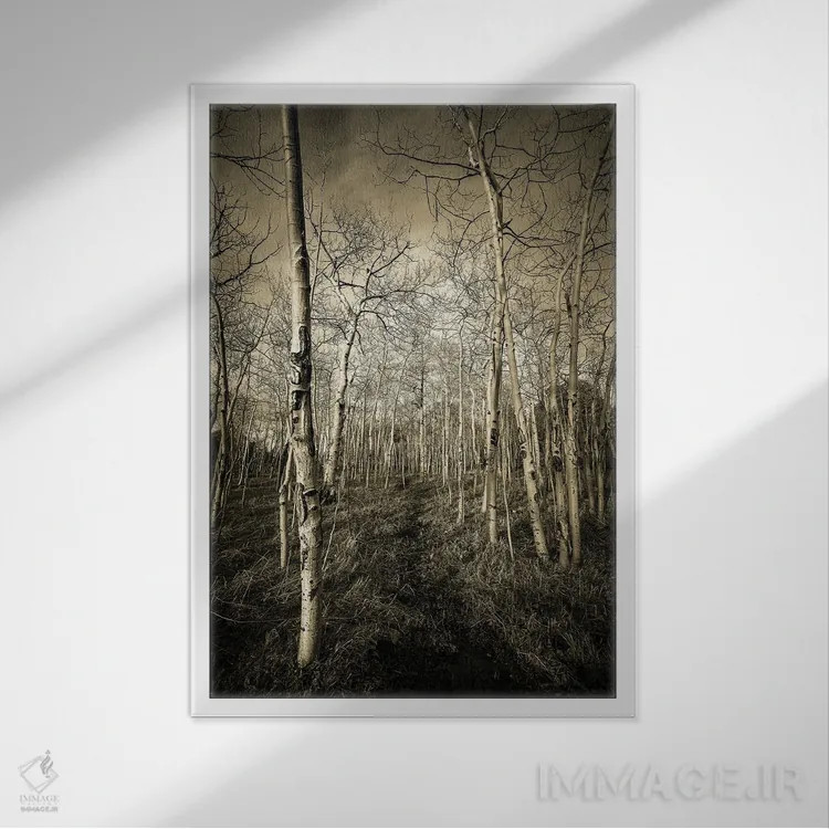 تابلو دکوراتیو تالارهای درخت تبریزی اثر کریستوفر توماس - نمای قابدار سفید