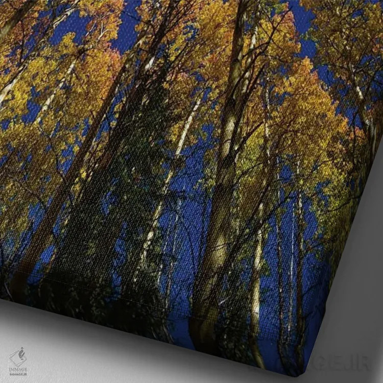 تابلو دکوراتیو کالیودوسکوپ درختان تبریزی اثر کریستوفر توماس - نمای نزدیک بافت بوم