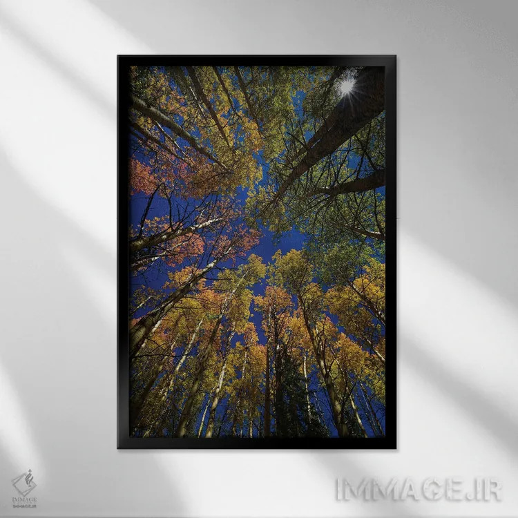 تابلو دکوراتیو کالیودوسکوپ درختان تبریزی اثر کریستوفر توماس - نمای قابدار مشکی