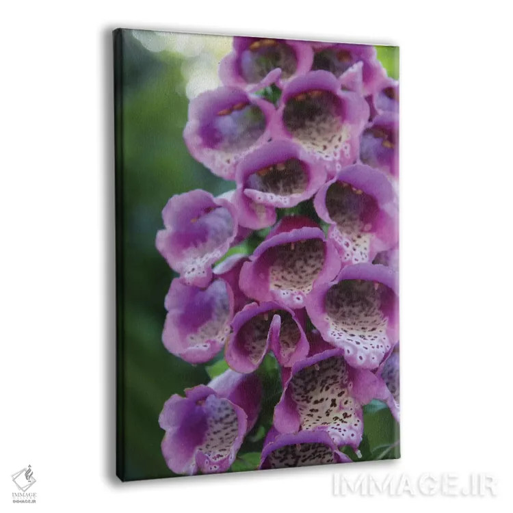 تابلو دکوراتیو گل آویز بنفش اثر آنا کوپل - نمای پرسپکتیو محصول