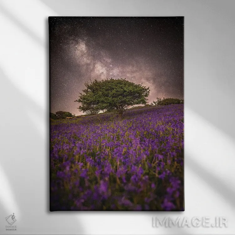 تابلو دکوراتیو رویای بنفش اثر چاد پاول - نمای روبهرو روی دیوار