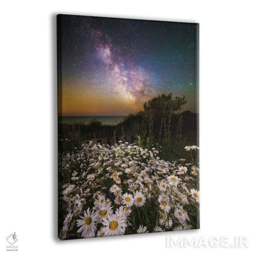 تابلو دکوراتیو گل های مرواریدی زیر آسمان پرستاره و راه شیری اثر چاد پاول - نمای پرسپکتیو محصول