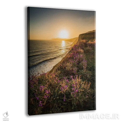 تابلو دکوراتیو گل های بنفش لبه صخره اثر چاد پاول - نمای پرسپکتیو محصول