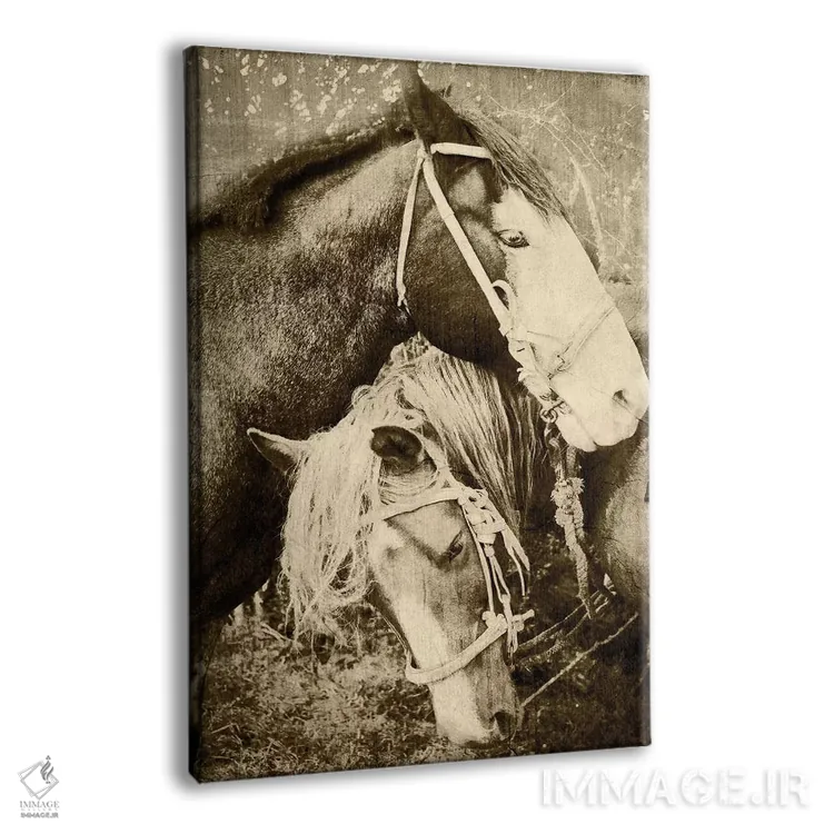 تابلو دکوراتیو اسب های کلاسیک اثر آنا کوپل - نمای پرسپکتیو محصول