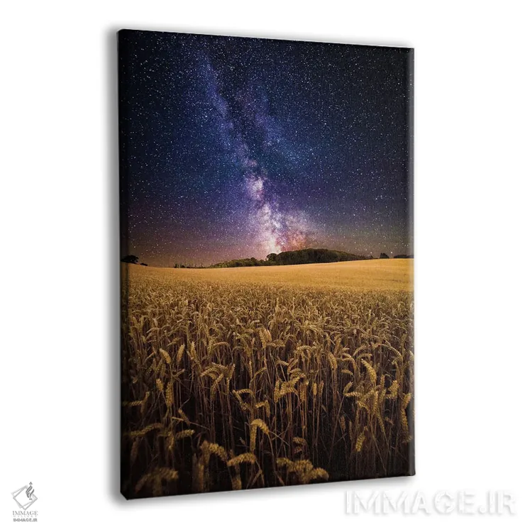 تابلو دکوراتیو مزارع طلایی اثر چاد پاول - نمای پرسپکتیو محصول