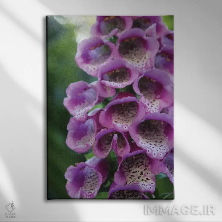 تابلو دکوراتیو گل آویز بنفش اثر آنا کوپل - نمای روبهرو روی دیوار