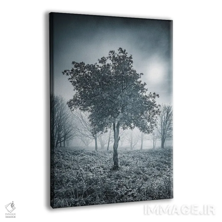 تابلو دکوراتیو درخت یخ زده اثر چاد پاول - نمای پرسپکتیو محصول