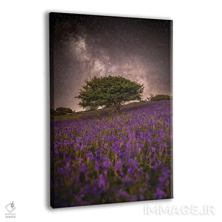 تابلو دکوراتیو رویای بنفش اثر چاد پاول - نمای پرسپکتیو محصول