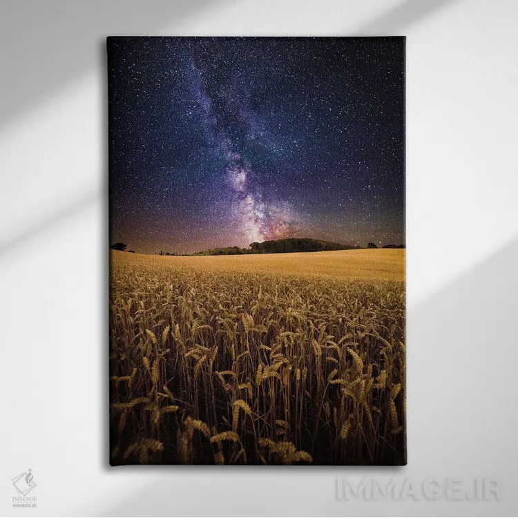 تابلو دکوراتیو مزارع طلایی اثر چاد پاول - نمای روبهرو روی دیوار