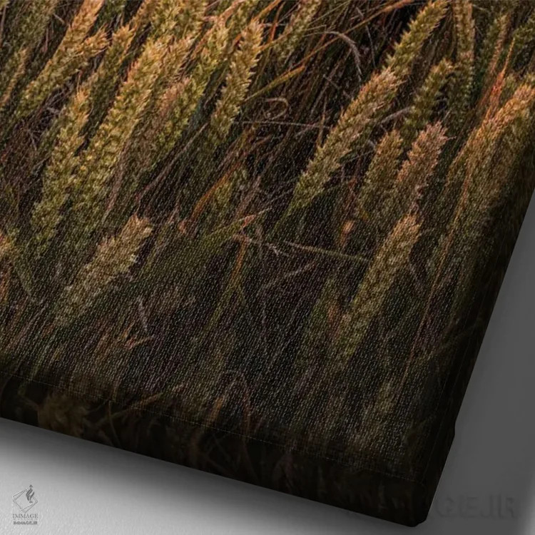 تابلو دکوراتیو غروب در مزرعه گندم اثر چاد پاول - نمای نزدیک بافت بوم