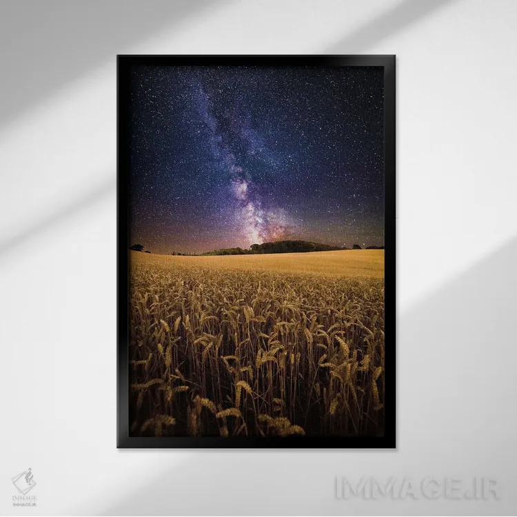 تابلو دکوراتیو مزارع طلایی اثر چاد پاول - نمای قابدار مشکی