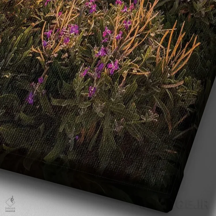 تابلو دکوراتیو گل های بنفش لبه صخره اثر چاد پاول - نمای نزدیک بافت بوم