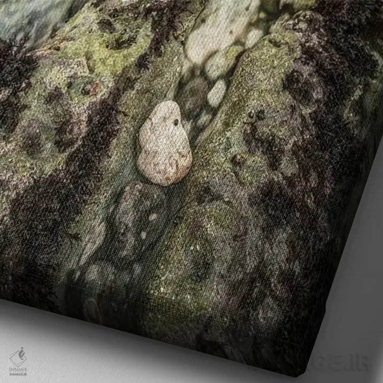 تابلو دکوراتیو حوضچه های سنگی خلیج آب شیرین اثر چاد پاول - نمای نزدیک بافت بوم