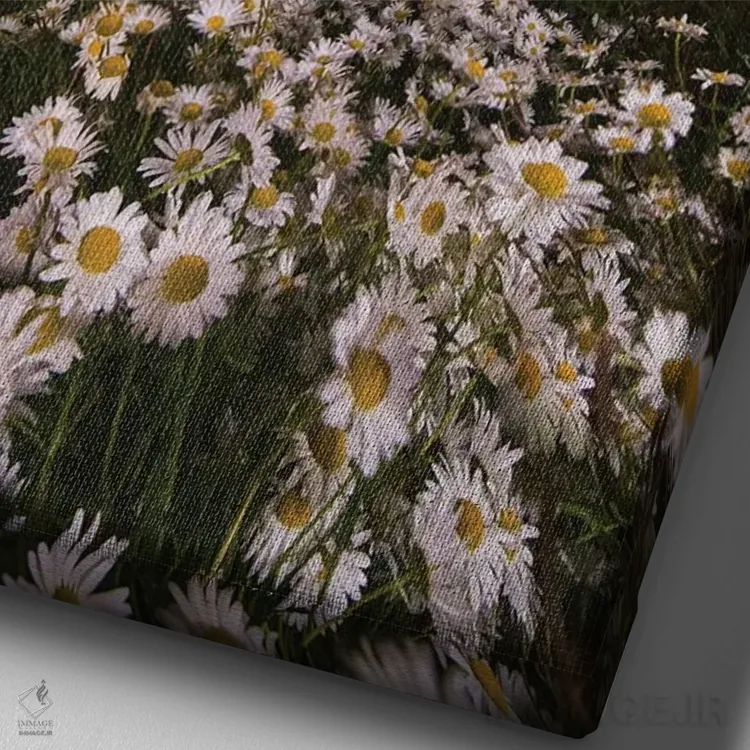 تابلو دکوراتیو گل های مرواریدی زیر آسمان پرستاره و راه شیری اثر چاد پاول - نمای نزدیک بافت بوم