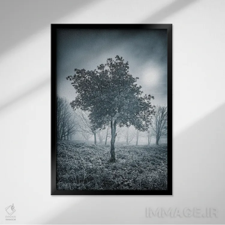 تابلو دکوراتیو درخت یخ زده اثر چاد پاول - نمای قابدار مشکی