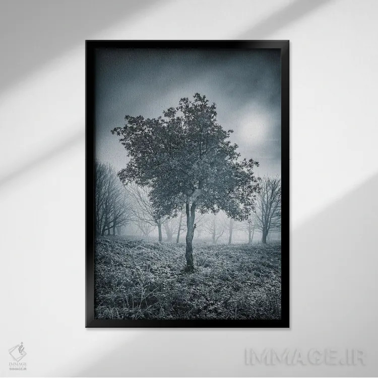 تابلو دکوراتیو درخت یخ زده اثر چاد پاول - نمای قابدار مشکی