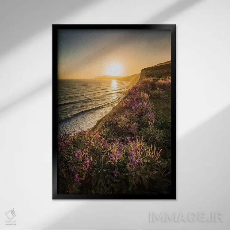 تابلو دکوراتیو گل های بنفش لبه صخره اثر چاد پاول - نمای قابدار مشکی