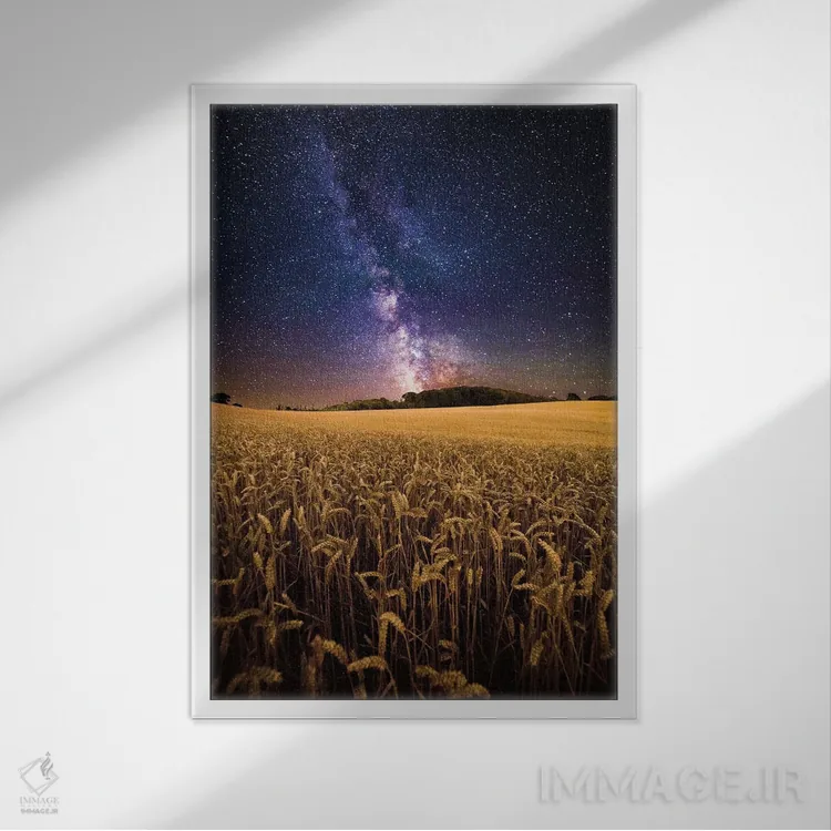 تابلو دکوراتیو مزارع طلایی اثر چاد پاول - نمای قابدار سفید