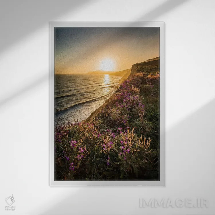 تابلو دکوراتیو گل های بنفش لبه صخره اثر چاد پاول - نمای قابدار سفید