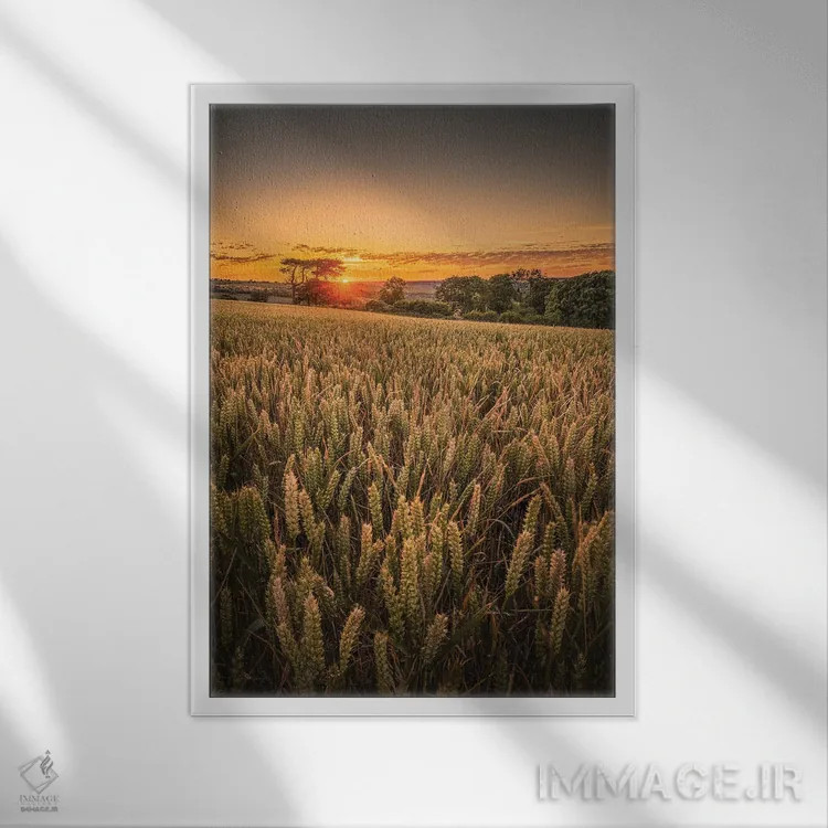 تابلو دکوراتیو غروب در مزرعه گندم اثر چاد پاول - نمای قابدار سفید