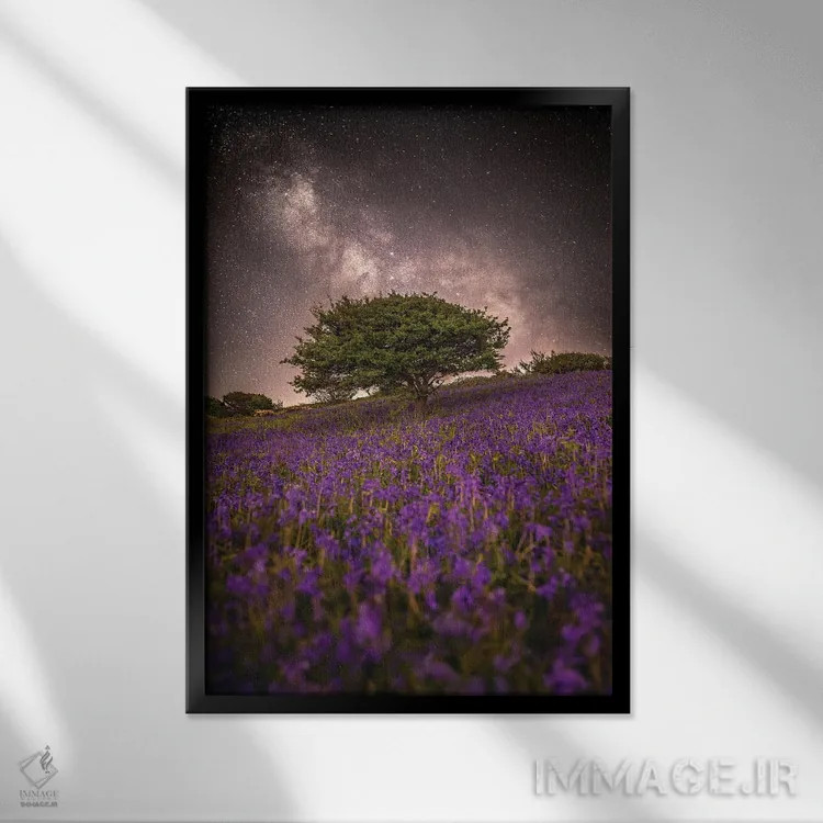 تابلو دکوراتیو رویای بنفش اثر چاد پاول - نمای قابدار مشکی