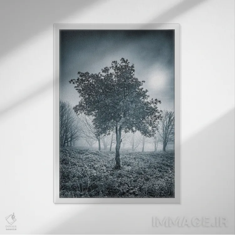 تابلو دکوراتیو درخت یخ زده اثر چاد پاول - نمای قابدار سفید