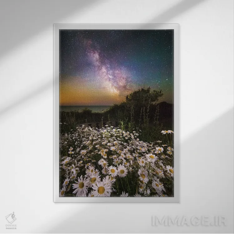 تابلو دکوراتیو گل های مرواریدی زیر آسمان پرستاره و راه شیری اثر چاد پاول - نمای قابدار سفید