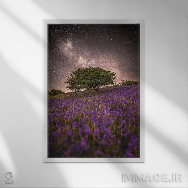 تابلو دکوراتیو رویای بنفش اثر چاد پاول - نمای قابدار سفید