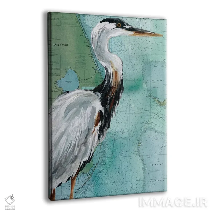 تابلو دکوراتیو "ماهی خوار کی وست " اثر کارول رابینسون - نمای پرسپکتیو محصول