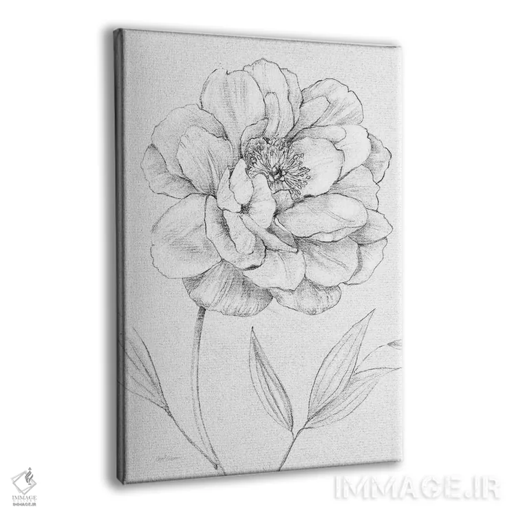 تابلو دکوراتیو طرح گل صدتومانی اثر کارول رابینسون - نمای پرسپکتیو محصول