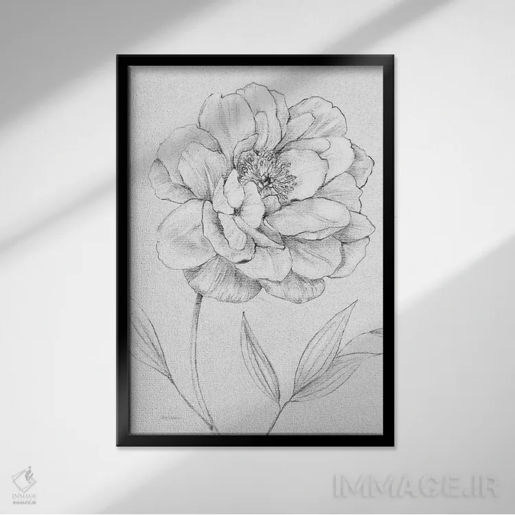 تابلو دکوراتیو طرح گل صدتومانی اثر کارول رابینسون - نمای قابدار مشکی