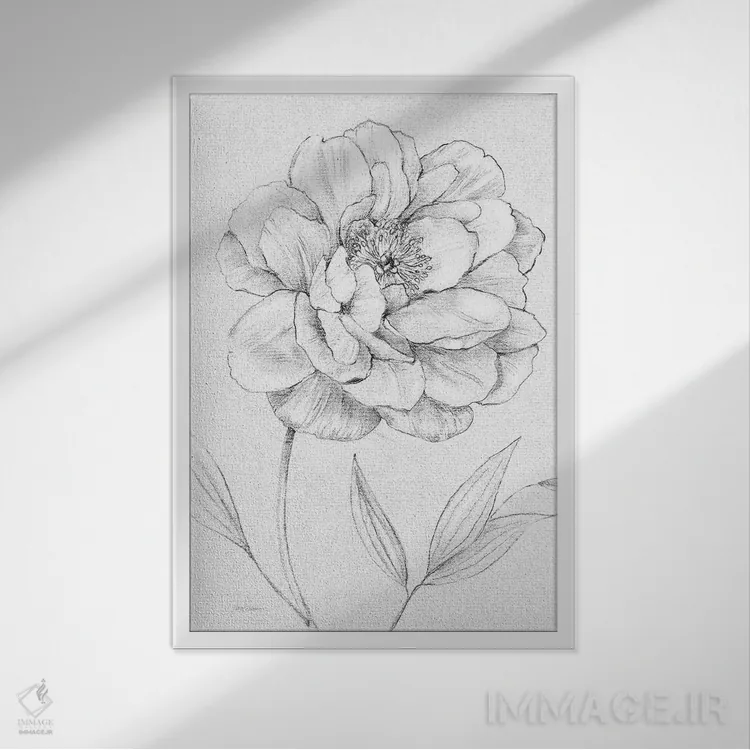 تابلو دکوراتیو طرح گل صدتومانی اثر کارول رابینسون - نمای قابدار سفید