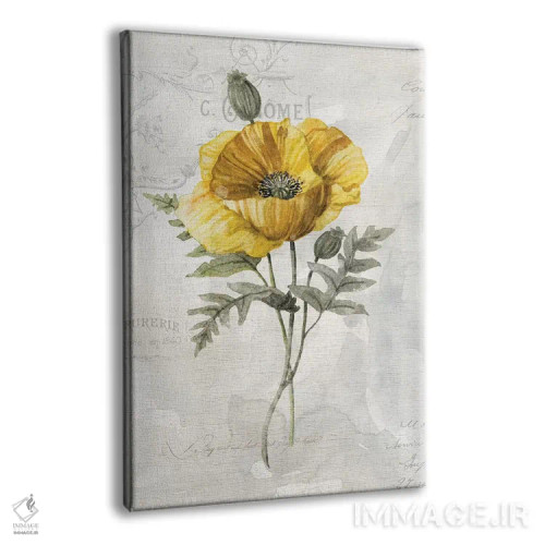 تابلو دکوراتیو خشخاش کاناری لنین اثر کارول رابینسون - نمای پرسپکتیو محصول