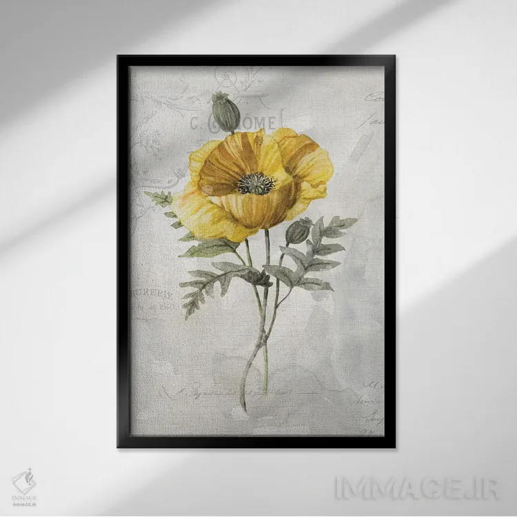 تابلو دکوراتیو خشخاش کاناری لنین اثر کارول رابینسون - نمای قابدار مشکی