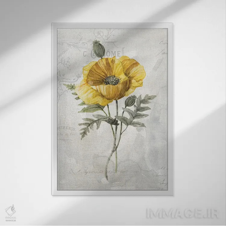 تابلو دکوراتیو خشخاش کاناری لنین اثر کارول رابینسون - نمای قابدار سفید