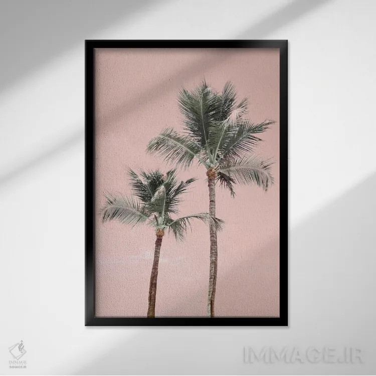 تابلو دکوراتیو صورتی های آروبا اثر ناتالی کارپنتری - نمای قابدار مشکی