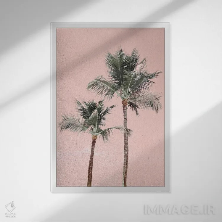 تابلو دکوراتیو صورتی های آروبا اثر ناتالی کارپنتری - نمای قابدار سفید