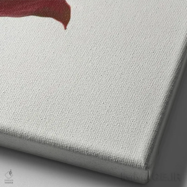 تابلو دکوراتیو برگ های قرمز یک اثر کاسیا بک - نمای نزدیک بافت بوم