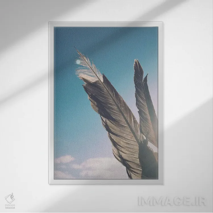 تابلو دکوراتیو پرهای قهوه ای اثر کاسیا بک - نمای قابدار سفید