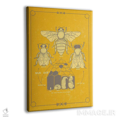 تابلو دکوراتیو آناتومی زنبور اثر چارت اسمارت دکور - نمای پرسپکتیو محصول