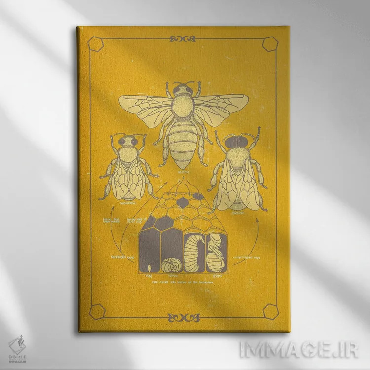 تابلو دکوراتیو آناتومی زنبور اثر چارت اسمارت دکور - نمای روبهرو روی دیوار