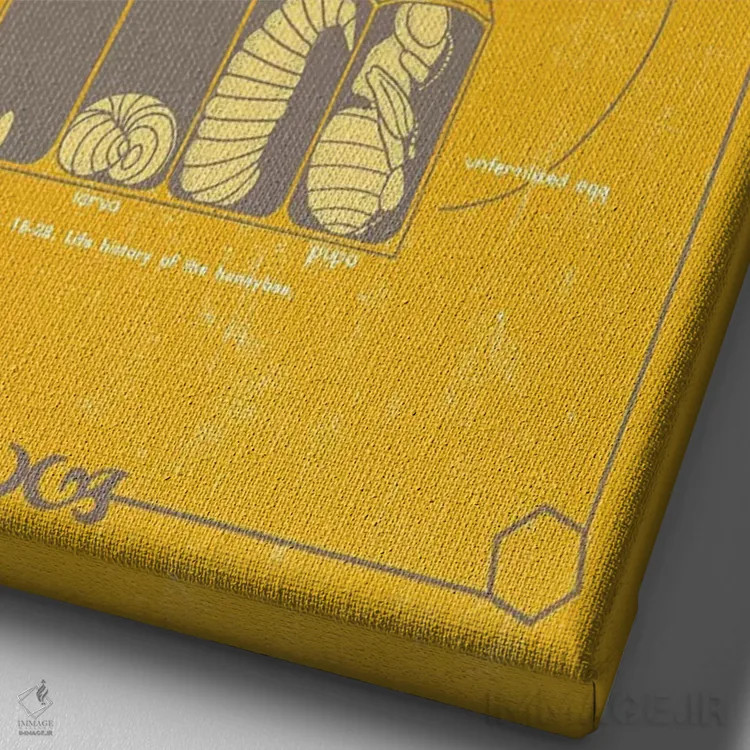 تابلو دکوراتیو آناتومی زنبور اثر چارت اسمارت دکور - نمای نزدیک بافت بوم