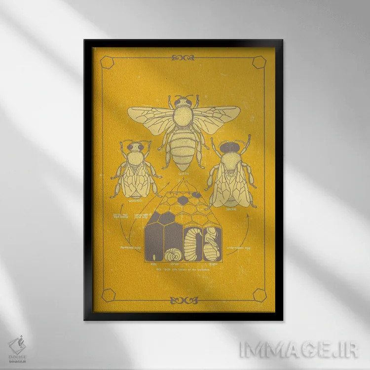 تابلو دکوراتیو آناتومی زنبور اثر چارت اسمارت دکور - نمای قابدار مشکی