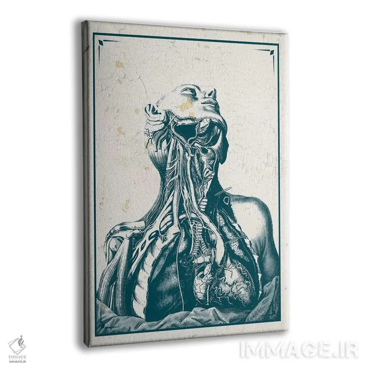 تابلو دکوراتیو کالبدشکافی قفسه سینه و گردن اثر چارت اسمارت دکور - نمای پرسپکتیو محصول